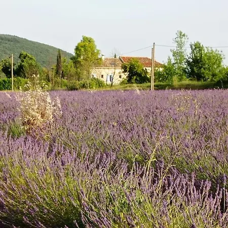 Holiday home Le Mas D'espeluche - Quietude, Charme, Nature, Piscine, Proche Commodites Et Autoroute